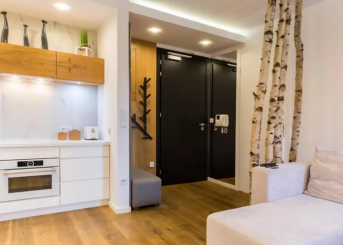 아파트 Sniezna Przelecz 자코파네