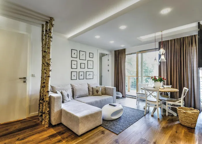 아파트 Sniezna Przelecz 자코파네